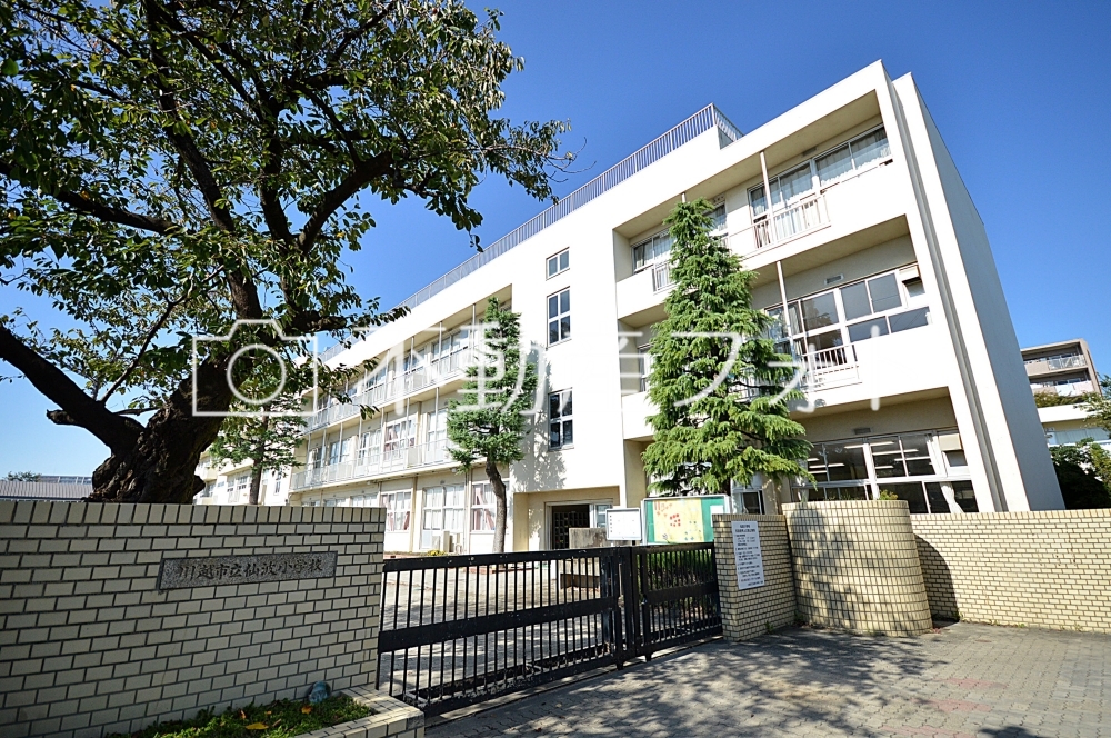 川越市立仙波小学校 写真ダウンロード販売 川越市立仙波小学校 写真ダウンロード販売