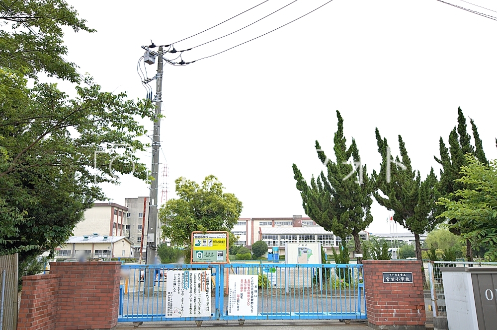 さいたま市立宮前小学校 | 写真ダウンロード販売