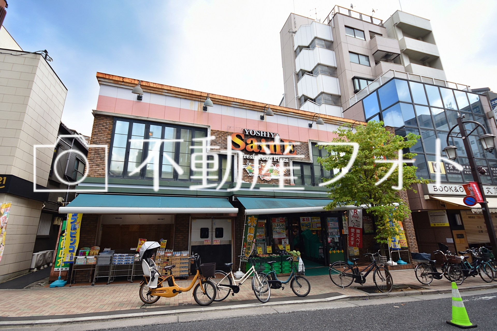 公の場での発言・インタビュー報道記録